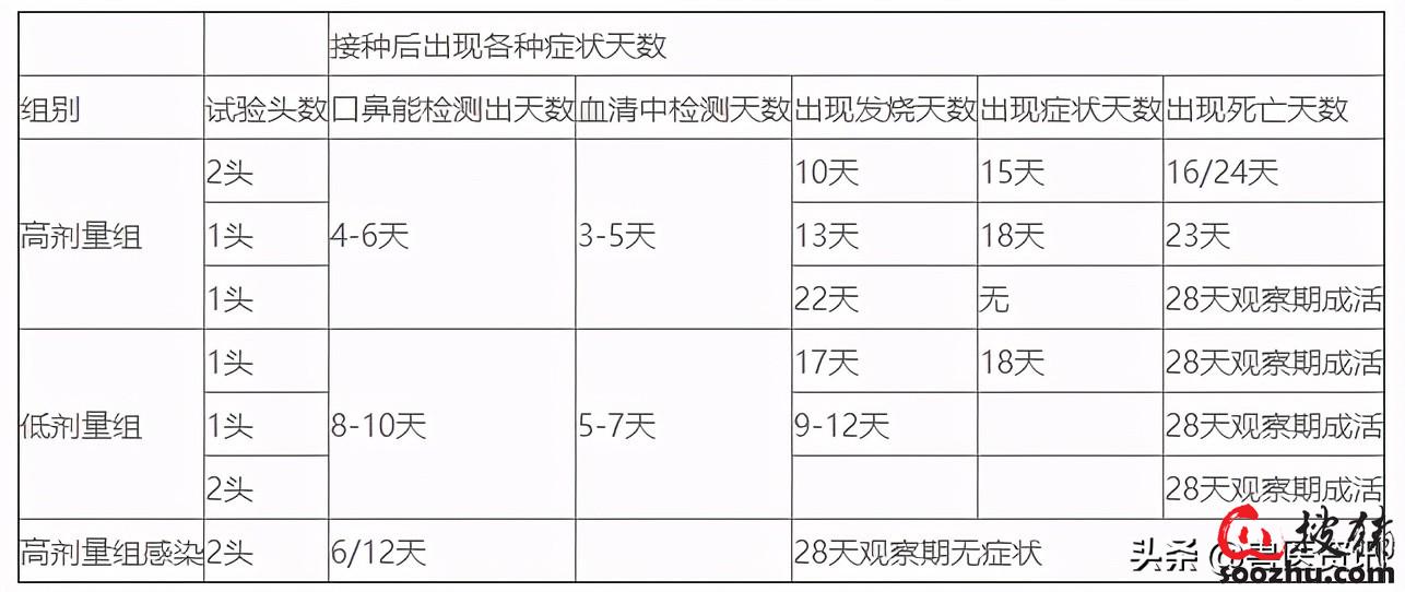 beat365非瘟间隙性排毒、无症状感染如何早发现及处理？(图1)