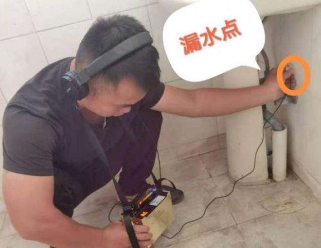 beat365泗洪金渐层、蓝猫、泰迪等宠物转让信息→(图1)