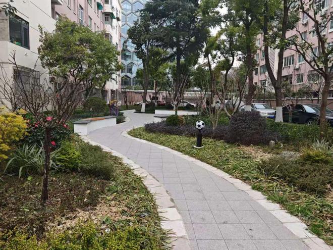 beat365怎么上海小区改造已经进化成这样了(图2)